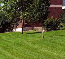 commercial lawn mowing