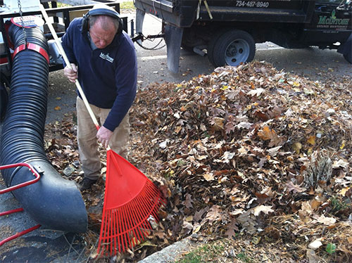 fall cleanup