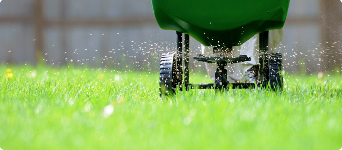 residential lawn fertilizer