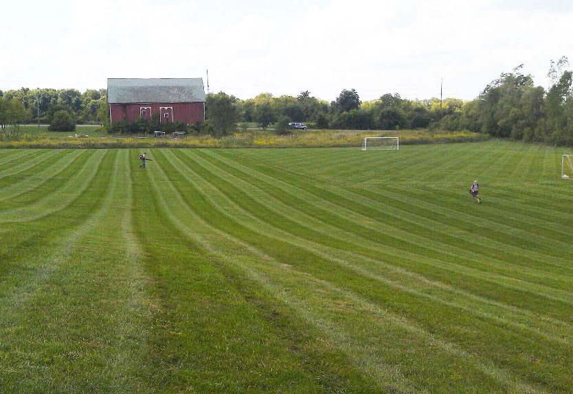 sports field lawn services