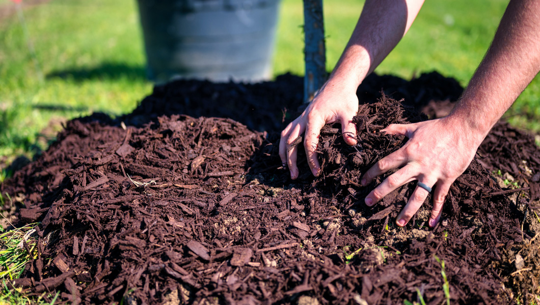 The Merits of Mulching